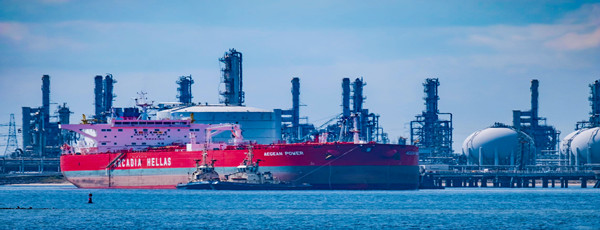 蘇里南海鮮進(jìn)口報(bào)關(guān)