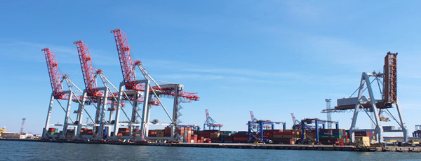 水果進(jìn)口報(bào)關(guān)代理