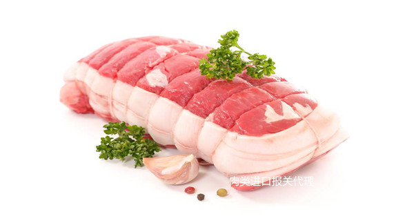 進口報關(guān)代理