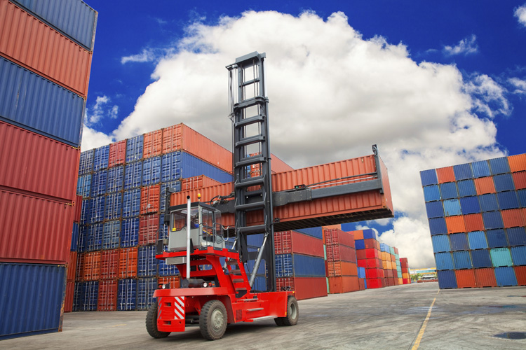 寧波洛神花進(jìn)口報(bào)關(guān)費(fèi)用