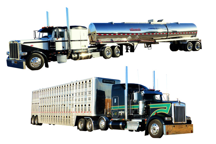 樣品汽車的報(bào)關(guān)進(jìn)口