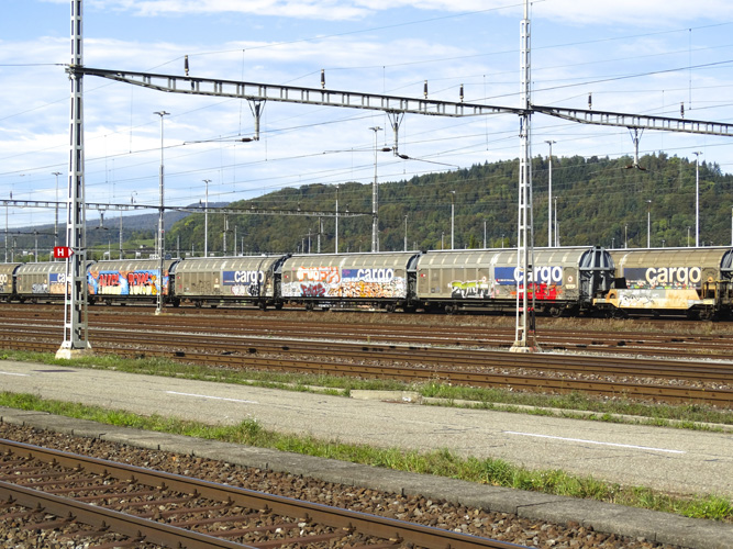 ata單證冊(cè)辦理入口