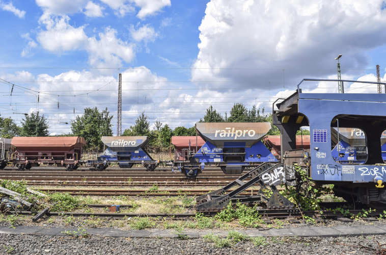 一般貿易進出口權證