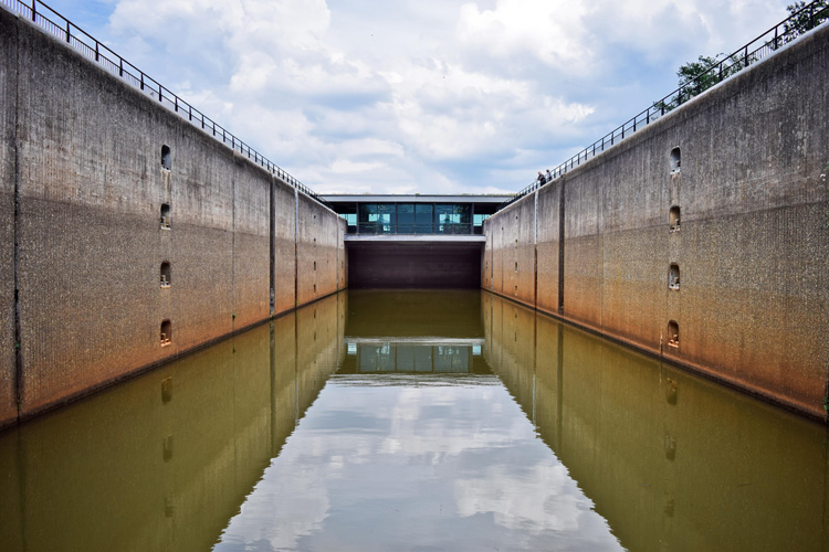 寧波進(jìn)口牛奶報(bào)關(guān)代理