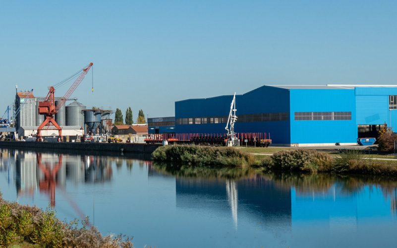 寧波進口橄欖油進口報關