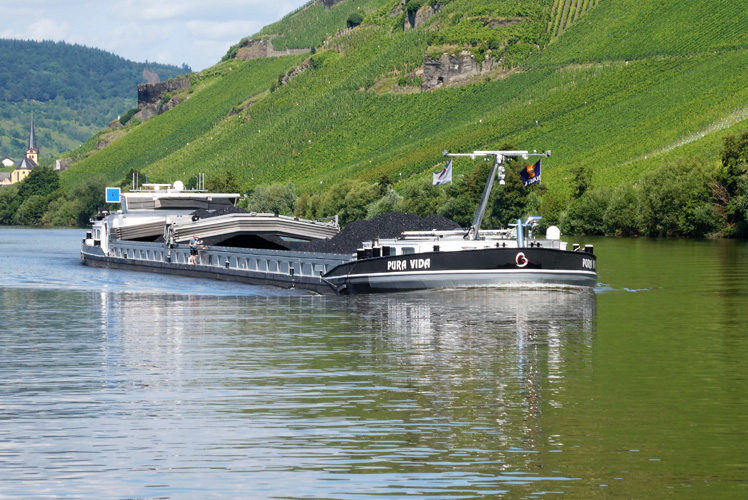 一般貿易進出口備案