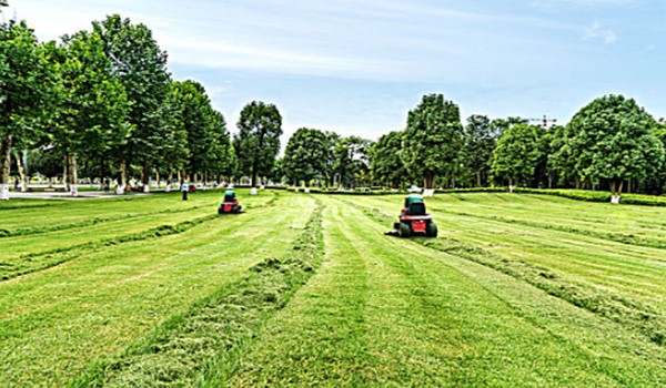 二手割草機進口報關(guān)