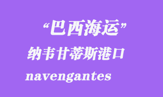 納韋甘蒂斯(navengantes)港口