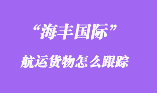 海豐國際航運(yùn)貨物怎么跟蹤